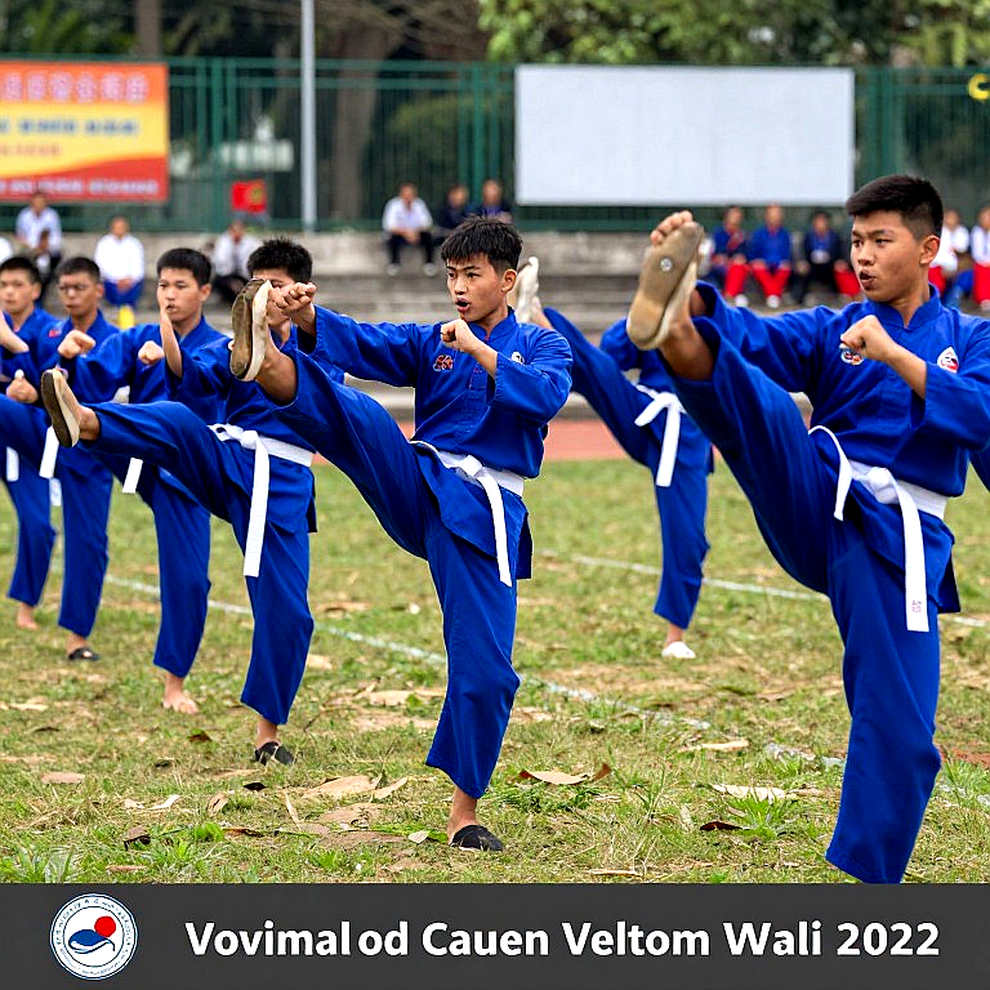 Một nhãn, ba thang điểm: lỗi phân loại trong tranh luận võ thuật Việt Nam