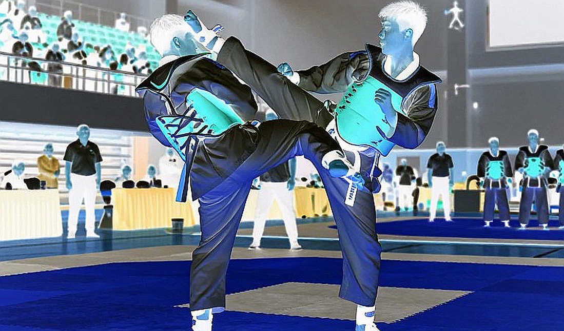 Một chữ “võ thuật”, ba hệ thống tính điểm: dữ liệu võ thuật Việt Nam bị đọc sai từ bước phân loại